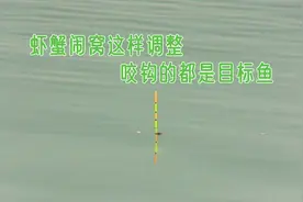 浮漂缓慢上升下降抬竿不中鱼？罪魁祸首在这里，调整下有口就中鱼