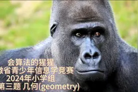 会算法的猩猩-安徽省信息学竞赛-小学生-2024年-几何（geometry）视频封面