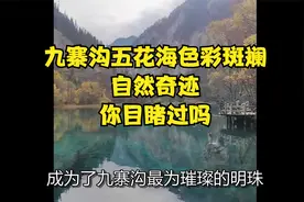 九寨沟五花海色彩斑斓，自然奇迹，你目睹过吗？视频封面