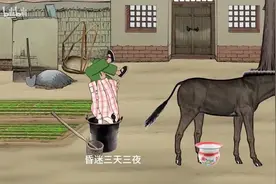 自从脑袋被驴踢了以后，洪荒之力瞬间觉醒，恶婆婆被我整的视频封面