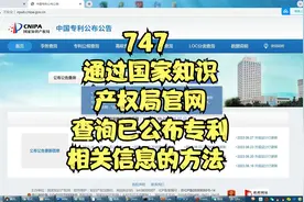 747 通过国家知识产权局官网查询已公布专利相关信息的方法