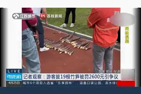 律师解读游客拔竹笋被罚2600元，挖笋看似不文明实则可能违法视频封面