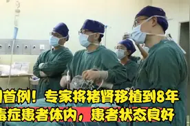 亚洲首例！专家将猪肾移植到8年尿毒症患者体内，患者状态良好视频封面