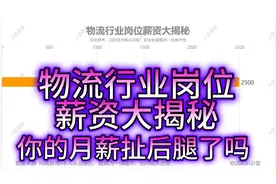 物流行业岗位薪资大揭秘视频封面