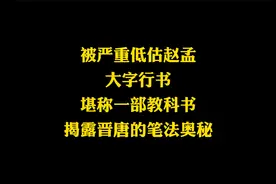 罕见的赵孟頫大字作品，堪称行书教科书，将晋唐笔法展现淋漓尽致视频封面
