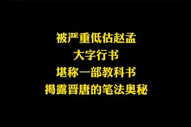 罕见的赵孟頫大字作品，堪称行书教科书，将晋唐笔法展现淋漓尽致视频封面