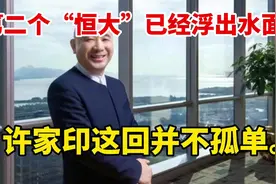 第二个“恒大”已经浮出水面？？许家印这回并不孤单。视频封面