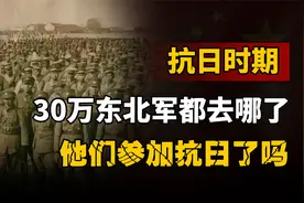 抗日战争为什么不见东北军？30万东北军去了哪里？消失的东北军视频封面