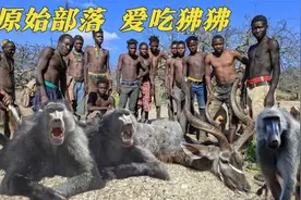 原始部落外出打猎，半天打到1只狒狒，切块煮熟全村人一起吃视频封面