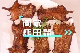 你有吃过田鼠吗，在我们当地有个说法“一鼠顶三鸡”，味道真不赖视频封面