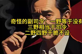 奇怪的副司令：一野等于没有，三野相当于司令，二野四野干脆不设视频封面