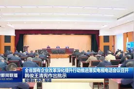 安徽省国有企业改革深化提升行动推进落实电视电话会议召开视频封面