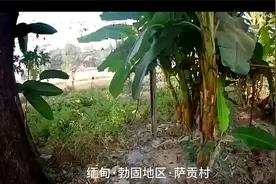 缅甸人民国防军袭击政府军基地大门，装备齐全，武器五花八门视频封面