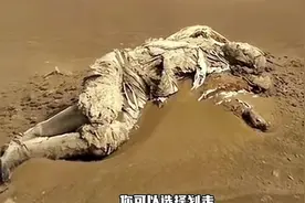 青山处处埋忠骨，何须马革裹尸还 ！致敬英雄 #李中华 #视频封面