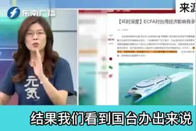 郑丽文-没有92共识台湾什么也不是！视频封面