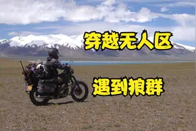 妹子穿越羌塘腹地遇到四只狼,不敢露营了连夜赶路离开无人区视频封面