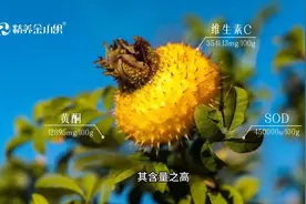 刺梨的正确吃法你知道吗#刺梨 #科普一下  #健康养生