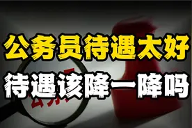 公务员成最理想工作，待遇太好，众人直呼“待遇该降一降”视频封面