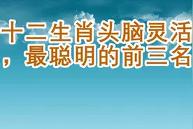 十二生肖头脑灵活，最聪明的前三名视频封面