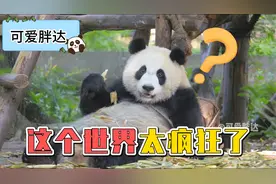 这个世界太疯狂了！姐弟居然性转成了兄妹！