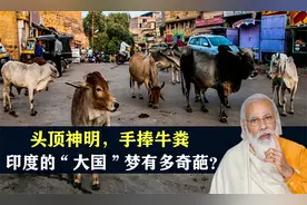 8.5亿贫困人口，头顶神明手捧牛粪，印度的“大国”梦有多奇葩？视频封面