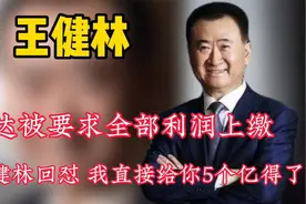 万达投资贫困县，县长要求利润全留下，王健林：干脆给你5个亿吧视频封面