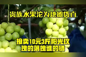 贵族水果沦为地摊货，直接卖10元3斤！阳光玫瑰的落魄谁的错？视频封面