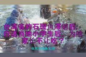 台湾省的石斑鱼滞销后，白送当地小学生后，为啥家长不让吃？