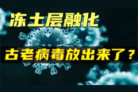 【古老病毒】北极冻土层融化会释放出来古老病毒，会威胁到人类吗