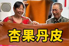 家里的杏吃不了千万别扔，教你用杏做果丹皮，好吃还好储存视频封面