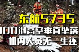 东航MU5735坠机纪实，9000米高空垂直砸向地面，机内人员无一生还视频封面