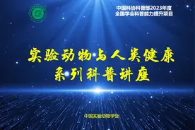 实验动物品系知多少（中）视频封面