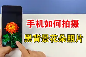 手机如何拍出黑背景花朵照片，高级感十足，教你拍摄技巧视频封面