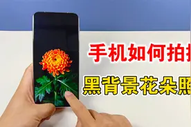 手机如何拍出黑背景花朵照片，高级感十足，教你拍摄技巧