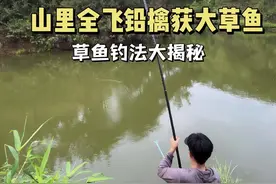 全飞铅带散炮草鱼钓法揭秘 #2024dou来钓鱼  #钓草鱼技巧  #老坛甜薯 视频封面