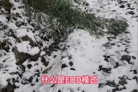 什么是 EOD 模式？