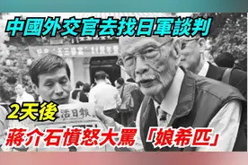 中国外交官去找日军谈判，2天后，蒋介石愤怒大骂「娘希匹」