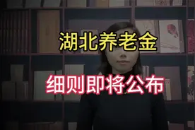 3400元养老金，能涨110元以上吗？湖北养老金调整细则即将发布视频封面