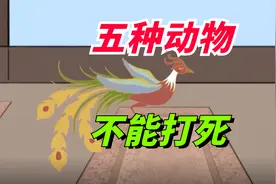 老人说：家中来了五种动物，不能打死，你知道是什么动物吗？视频封面