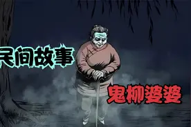 民间流传柳树为阴树，每60年就会开一次花视频封面