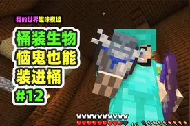 我的世界：桶装生物12，恼鬼唤魔者，统统装进水桶来