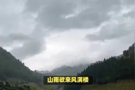这些脍炙人口的诗句，其实你未必知道它们的作者视频封面