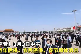 老年医保、农民医保、春节调休来聆听两会的声音视频封面