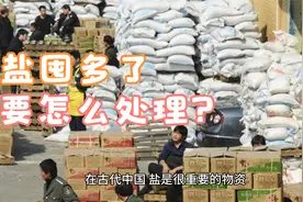 盐不小心囤多了怎么办视频封面