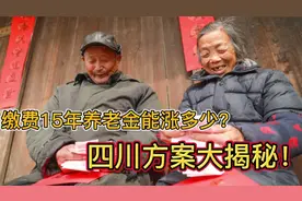 缴费15年，2000元养老金能涨多少？四川方案大揭秘！视频封面