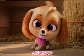 汪汪队立大功：大眼萌妹天天