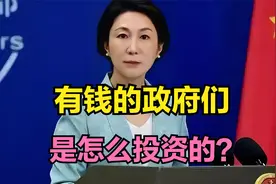 有钱的政府们，是怎么投资的？🌹视频封面