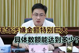 毛奇被提起公诉，涉案金额特别巨大，具体数额是多少？视频封面