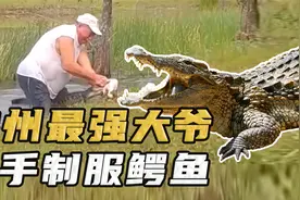佛罗里达最强大爷，为解救小狗，徒手制服鳄鱼？！视频封面
