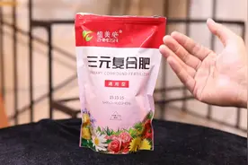 养花用什么肥料促进植物生长？园艺师教你，用三元复合肥